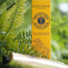 L'Occitane Hand Serum-In-Cream